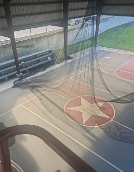 WhatsApp Image 2025-08-11 at 10.58.54 AM (1)