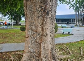 WhatsApp Image 2025-08-18 at 1.22.40 PM-1755547978c85a3541e19176750c01c26ab8ed7848040969c1