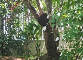 WhatsApp Image 2025-08-18 at 1.22.41 PM-175554797878481088c7cdf4f1046895f5a9fce78c45a8557c